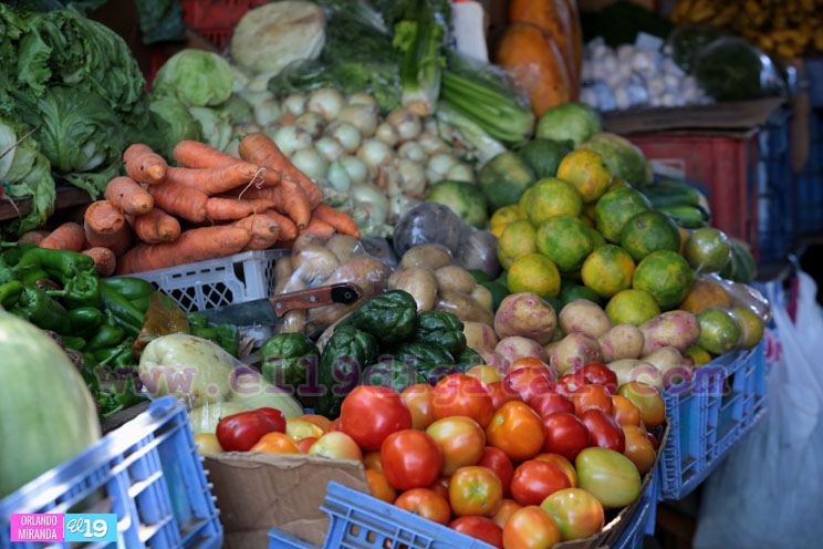 Pescado vuelve a los mercados más barato